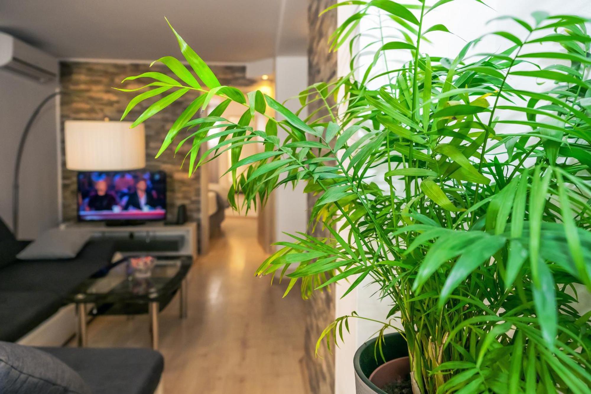 Apartment Relaxing 2bd Apartment, Ground Floor - Walk To Old Town Split